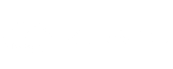 Big Bear Mountain Resort logo