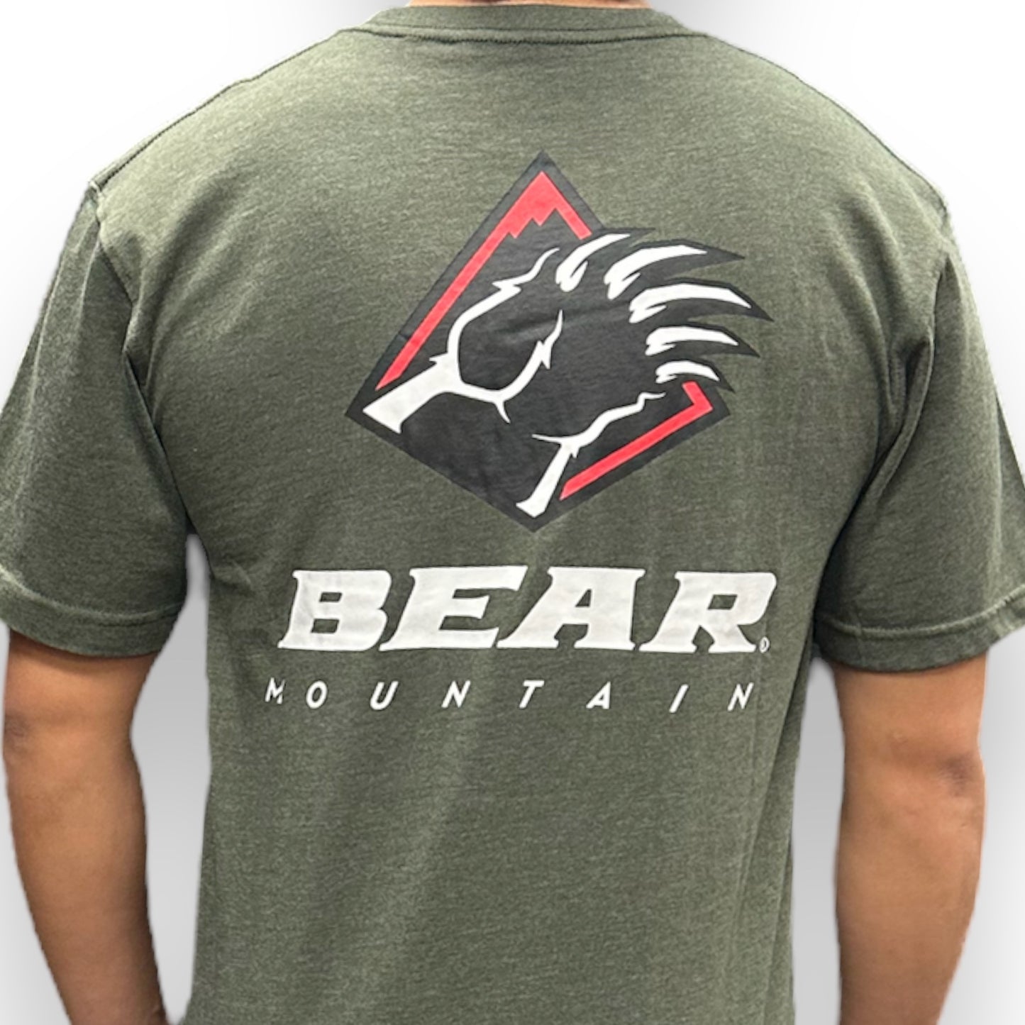 Bear Mountain Heather Green Long Sleeve-T with Bear Mountain Logo on back