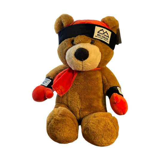 Big Bear Mountain Resort's mascot, Biggie, stuffed bear
