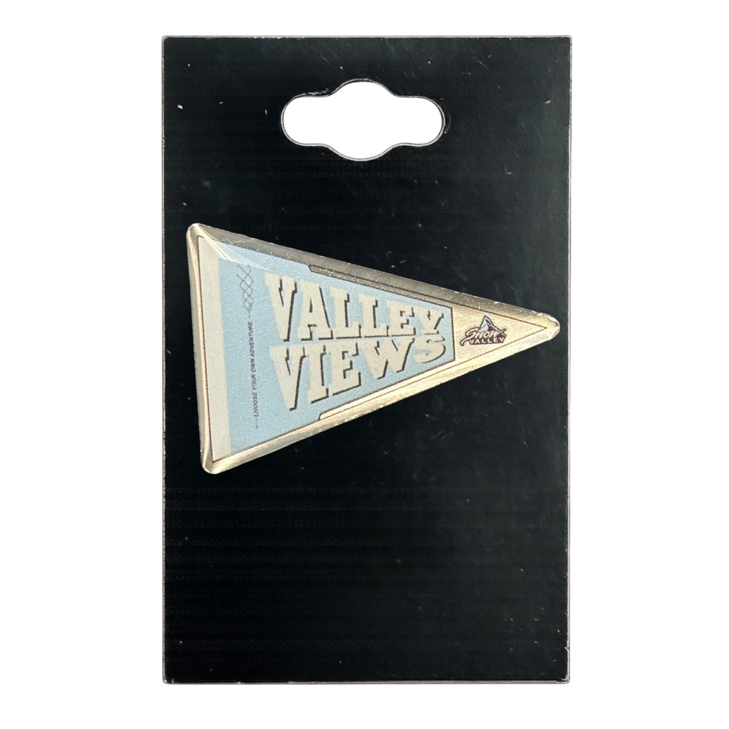 A triangular blue and white 'VALLEY VIEWS' enamel pin on a black display card with a hanging tab.