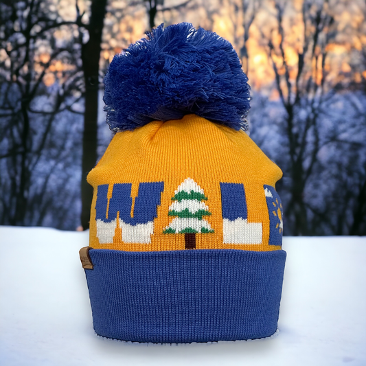 Orange beanie with “WILD” stitched across the face of the beanie, the “I” in “WILD” is a snow covered tree while the rest also has snow.  Beanie has blue cuff  and blue pom.