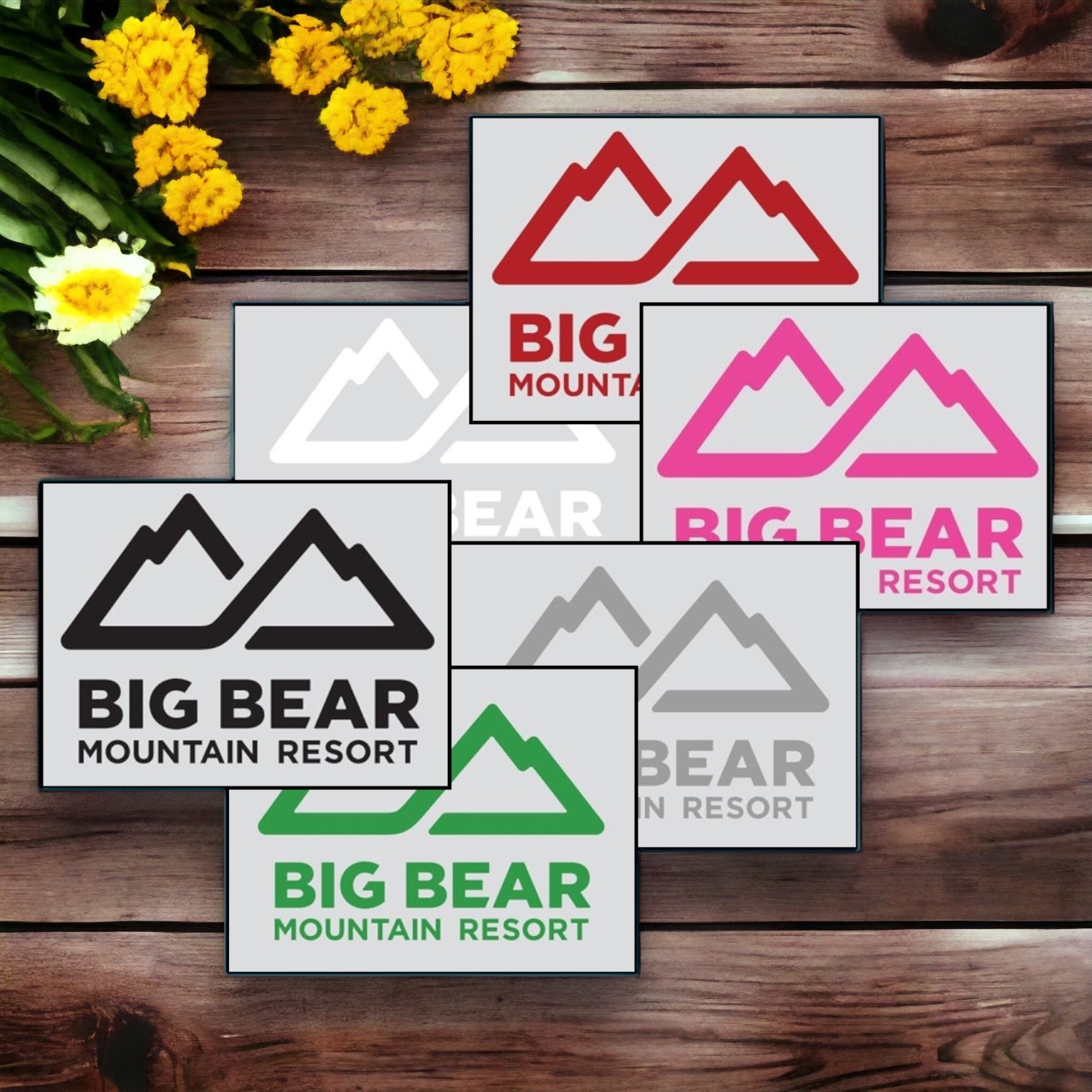 Individual BBMR Logo Sticker in colors: green, pink, red, silver, white, black.