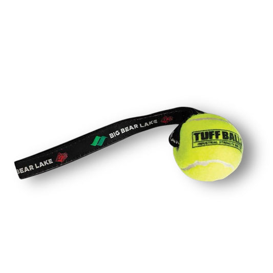 Big Bear Lake Tennis Ball Dog Toy