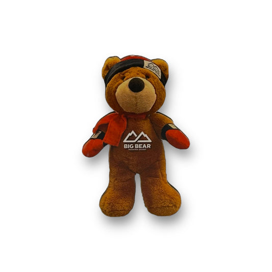 Biggie the bear 2d magnet with big bear mountain resort logo on stomach