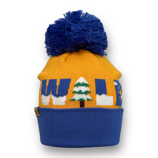 Orange beanie with “WILD” stitched across the face of the beanie, the “I” in “WILD” is a snow covered tree while the rest also has snow.  Beanie has blue cuff  and blue pom.