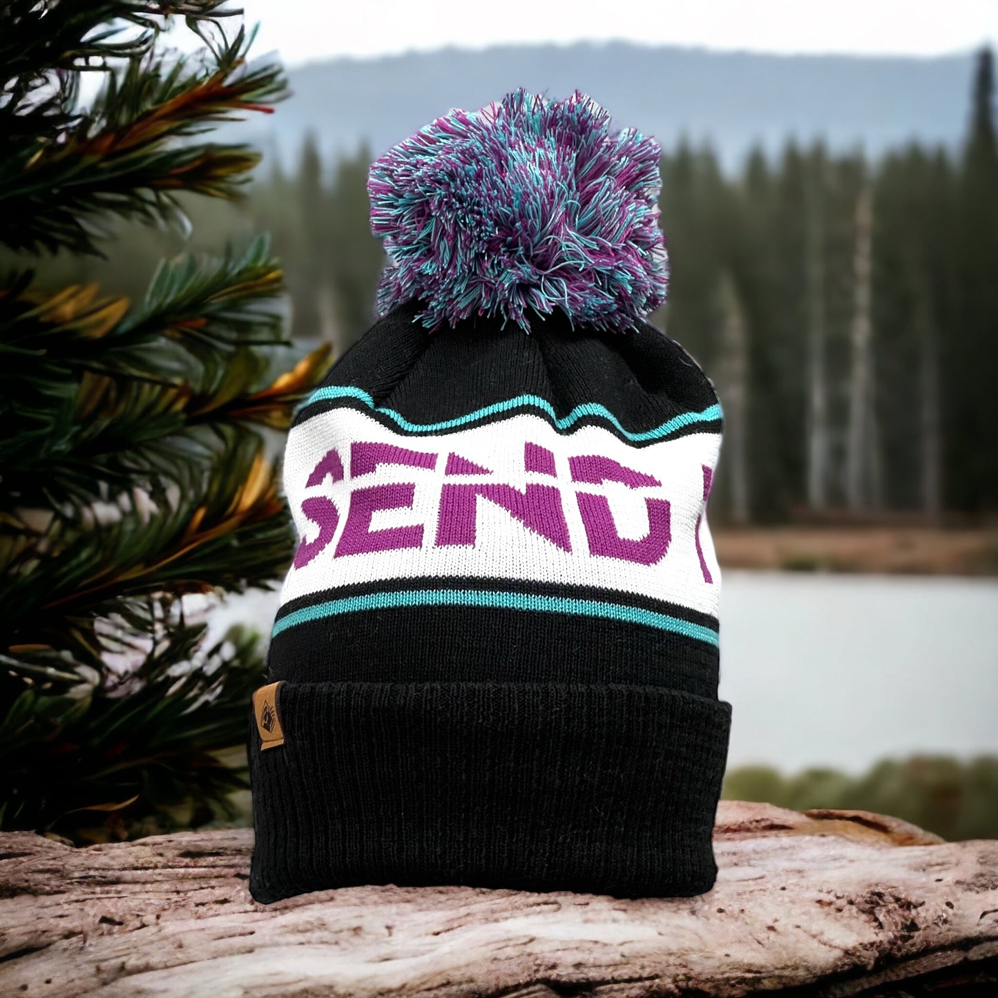 Black beanie with mixed purple and blue pom SEND IT graphic, Bear Tag on the left corner