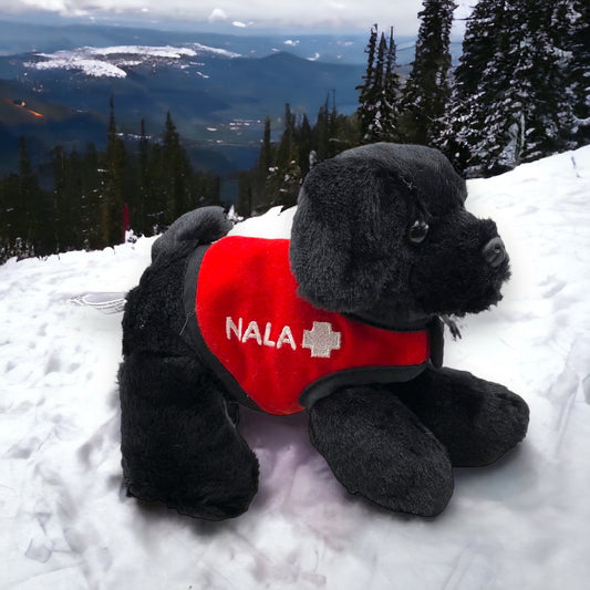 Black stuffed animal dog with a red vest and Nala name printed on vest