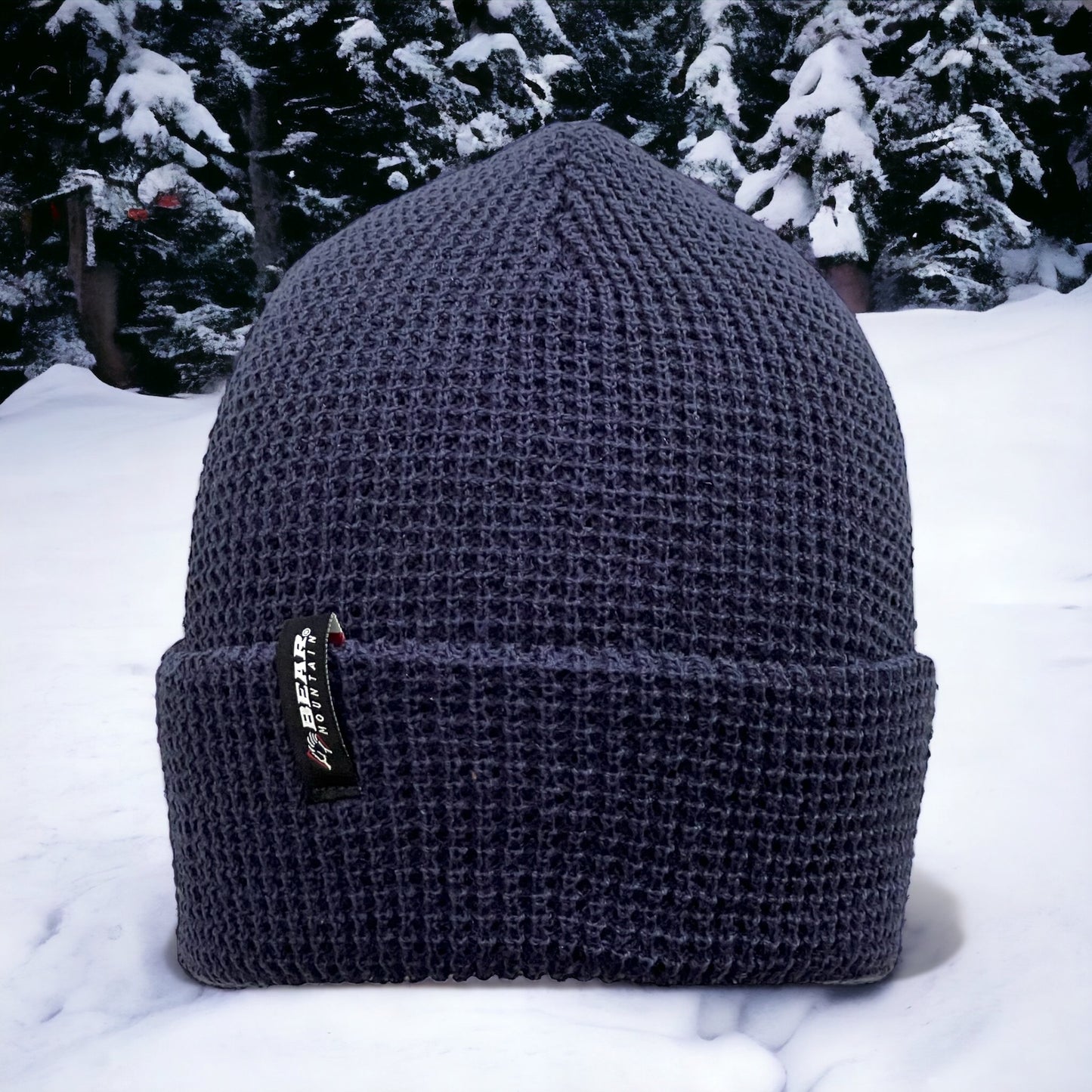 Navy beanie with Bear Mountain tag