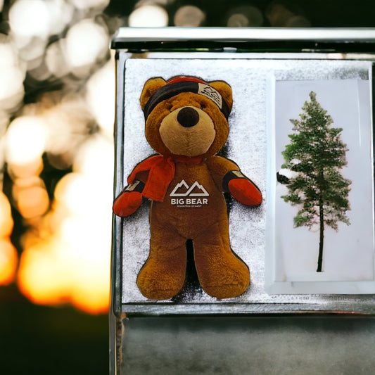 Biggie the bear 2d magnet with big bear mountain resort logo on stomach