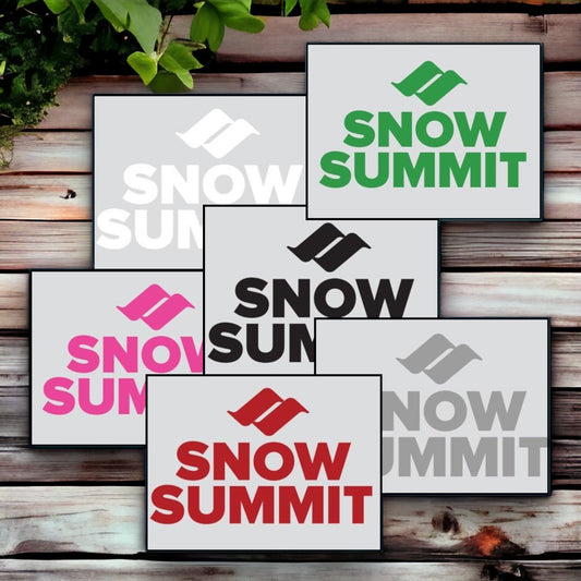 Snow Summit Logo Sticker in colors: green, red, silver, pink, black, white