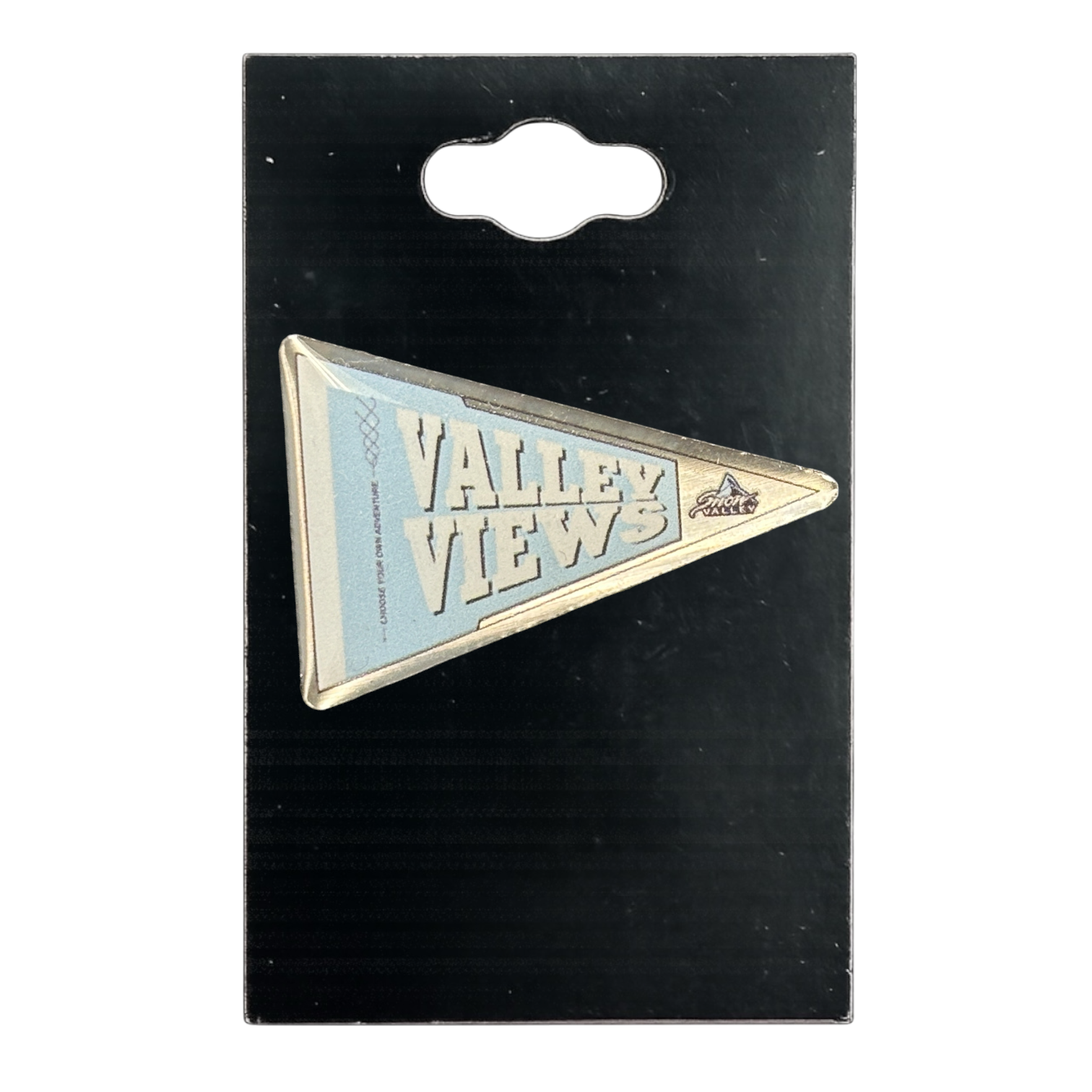 A triangular blue and white 'VALLEY VIEWS' enamel pin on a black display card with a hanging tab.